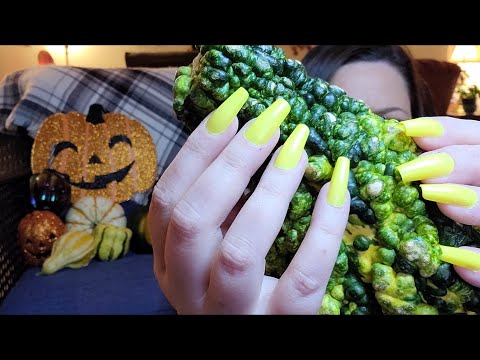 ASMR Scratching And Tapping On Pumpkins(Lo-fi)