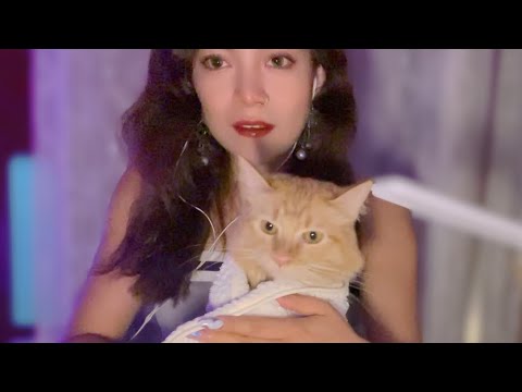 ASMR 🐈 Purrsonal Color Analysis For My Sister's Cat Soft Spoken