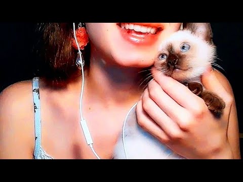 ASMR Lipgloss | Mouth sounds & Introducing my cat to you 🐈