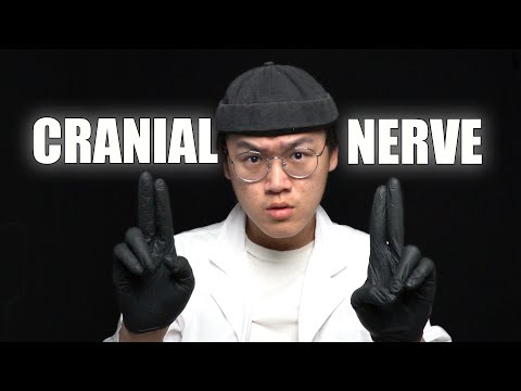 [ASMR] the MOST REALISTIC Cranial Nerve Exam Ever...
