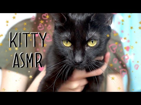 ASMR with Kitties