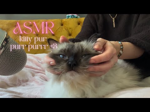 ASMR • pure kitty purring 🐱🥰🩷