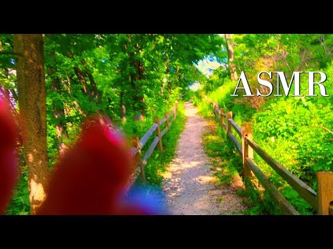 ASMR In The Forest 🌳✨(Relaxing Nature Walkthrough 💚)