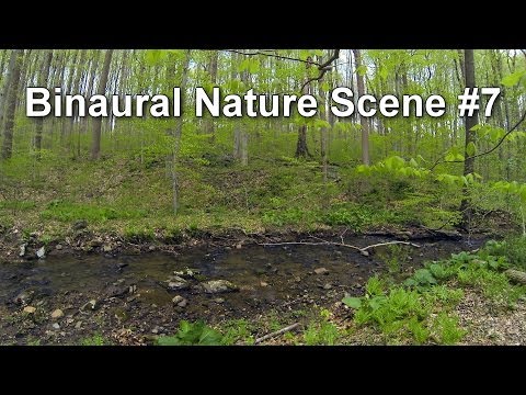 Binaural Woodland Ambiance (Nature Sounds Series #7) Trickling Stream & Bird Sounds