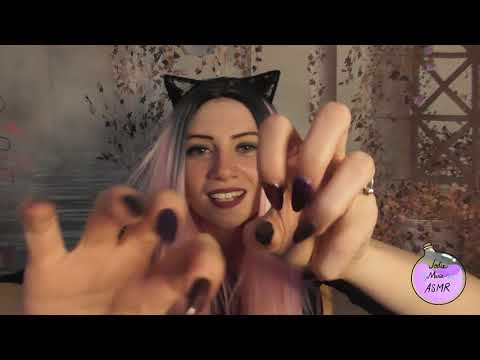 ASMR lense scratching gentle whispers/layered cats purring/positive affirmations