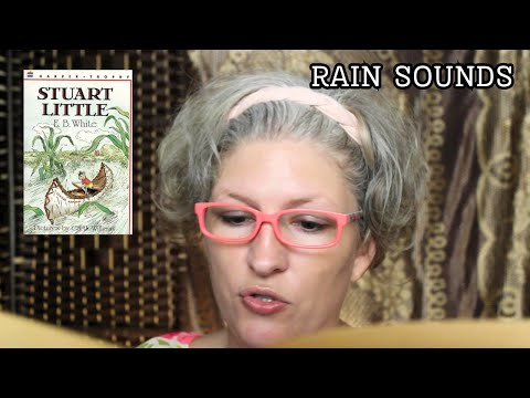 Personal Attention ASMR Soft Spoken |  Reading a Book to You