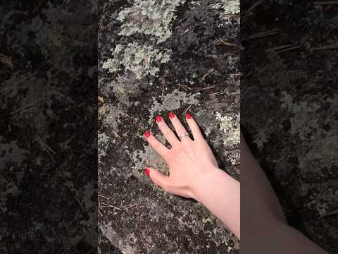 ASMR Out In Nature Sounds | A Massive Stone | Hand Sounds (No Talking) #shorts