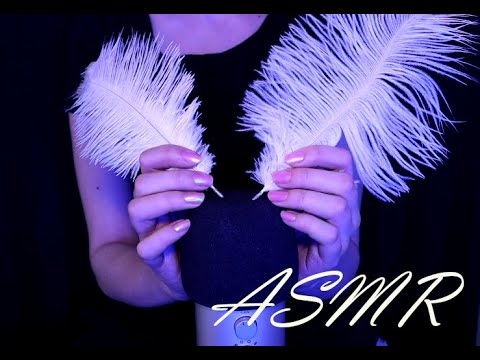 ASMR Mic Scratching with Different Objects 🌟(No Talking)