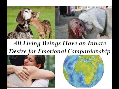 All Living Beings Desire Emotional, Physical Connection. Our Role on Earth?