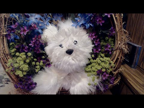 [ASMR] Flowers for Daniel (Crinkling, Crunching) (No Talking)