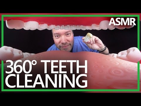 360° Dentist Teeth Cleaning (ASMR, Roleplay, 4K)