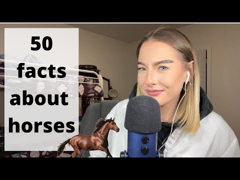 ASMR ✨ 50 facts about horses 🐴 (100% whispered facts for sleep and relaxation)