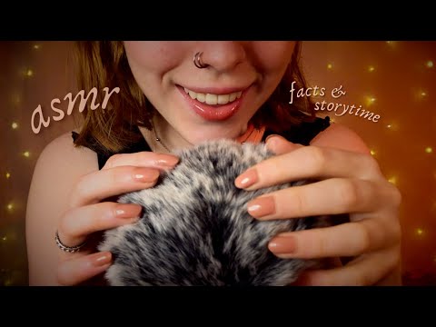 ASMR 🦝 Whispering Random Facts About Racoons & a Storytime (with Fluffly Mic Touching)