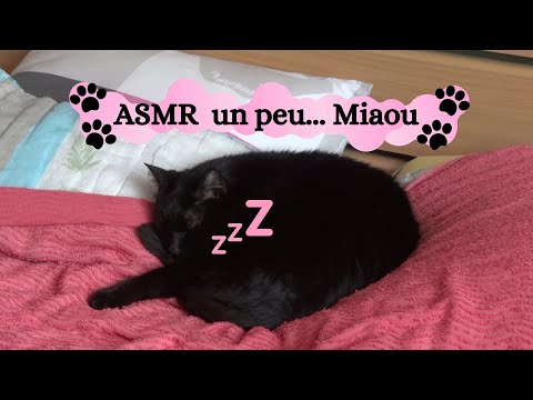 ASMR: Un chat s'invite sur ma chaîne (ronronnement, câlin, cat, gentle whispering, chuchotement)