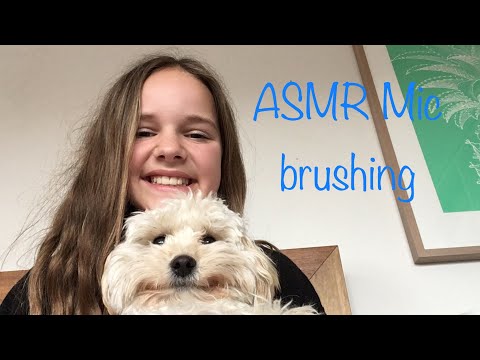 ASMR Mic brushing