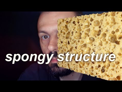 I am testing the sounds of a spongy structure [ASMR]