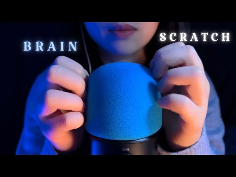 ASMR Brain Scratching , Mic Scratching , Brain Melting , Mic Triggers , No Talking