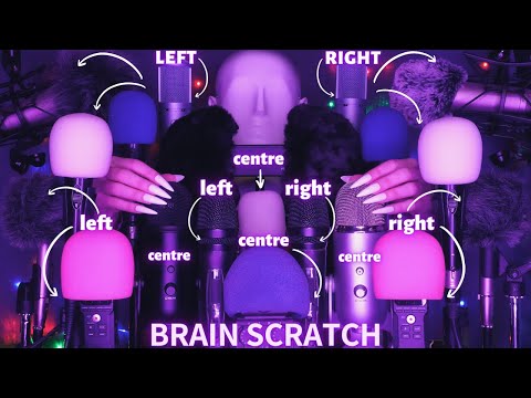 ASMR Mic Scratching - Brain Scratching with 20 MICS🎤| No Talking for Sleep with Long Nails 1H - 4K