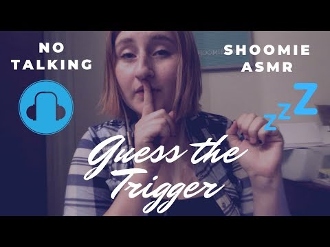 Guess The Trigger ASMR No Talking