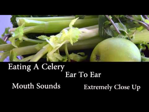 Binaural ASMR Eating A Celery (Ear To Ear, Extremely Close Up) Mouth Sounds