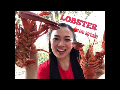 🔴Live Stream “Lets Eat Lobster”