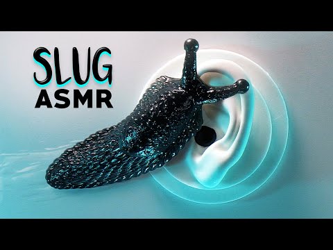 ASMR Slimy Slug Massage & Other Unique Triggers to Make You Tingle
