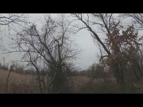 ASMR Hiking on a Peaceful Dirt Path (Full Video)