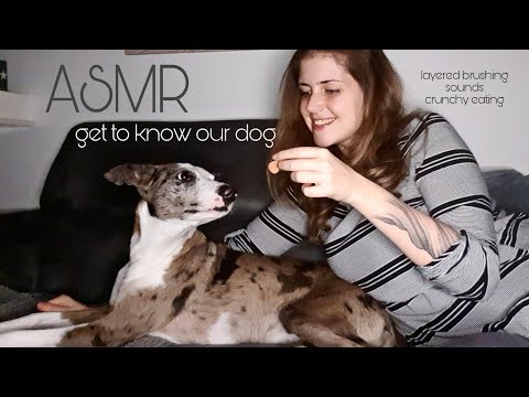 ASMR german/deutsch with our dog Blue and talking about her| layered brushing | crunchy eating