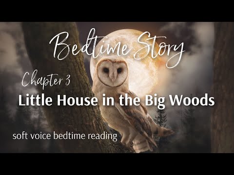 LITTLE HOUSE IN THE BIG WOODS (Ch. 3) Fireside Bedtime Story / Soft Voice Bedtime Reading for Sleep