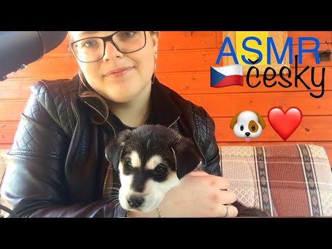 ASMR CZ Meet My New Puppy | Czech Whispering & Dog Toys 🐾 (English captions available)