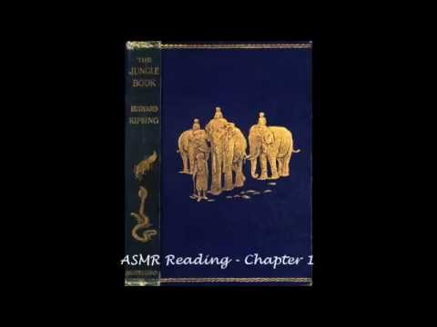 ASMR Story - "The Jungle Book"
