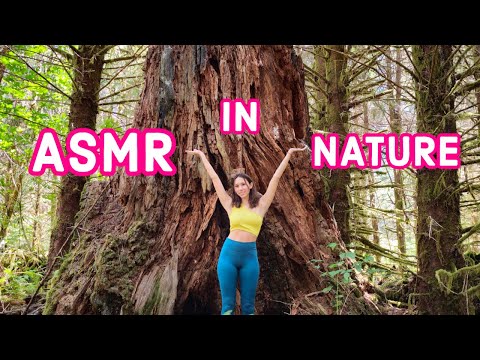 ASMR in nature! (trip to Washington state)