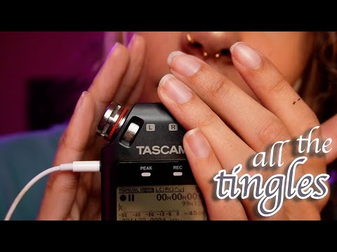 Sleepy Tascam Tingles (mouth sounds, tapping, sponge, comb, faux ice cubes, & more) ~ ASMR