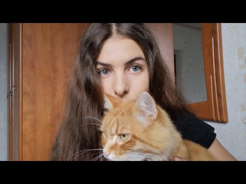 ASMR RUSSIAN ACCENT AND CAT PURR 😻 Soft spoken
