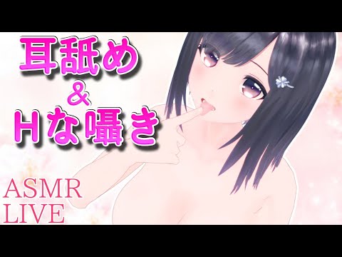 【生放送】テント張り注意♡がっつりお耳を刺激するナマ舐め【ASMR】