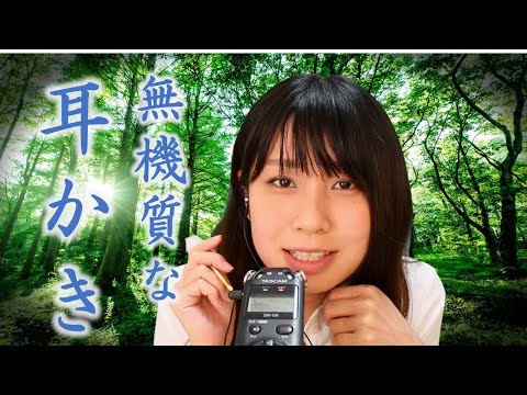 【ASMR】ちょっと無機質な耳かき音♪ TASCAM DR-05 ～Mineral Ear Cleaning~