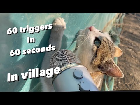 Asmr 60 triggers in 60 seconds in village