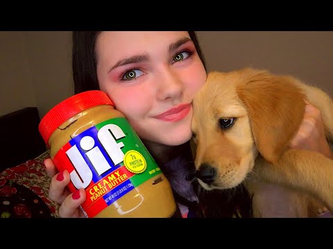 MOUTH SOUNDS ASMR | Puppies Eat Peanut Butter For The First Time ♥️