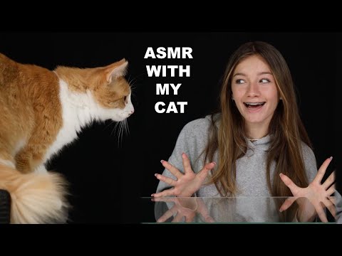 ASMR WITH MY CAT!