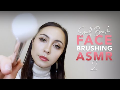 SMALL BRUSHES ONLY 2! ASMR lens + mic brushing