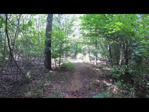 ASMR Hiking Binaural Nature Trail with Crunchy Dirt, Sand, and Gravel Sounds