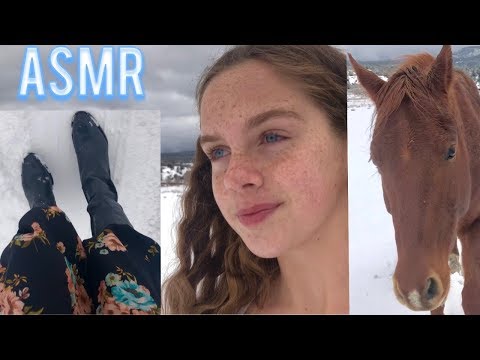 ASMR Meet my HORSE + Snow Crunching