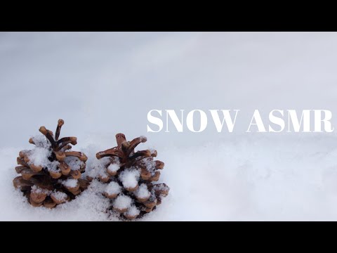 ASMR| Icy Snow And Nature sounds! ❄️