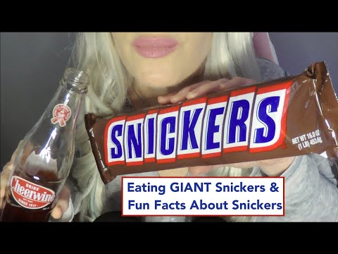 ASMR Eating HUGE SNICKERS BAR | Random Facts About Snickers | Drinking Cheerwine |  Whispered