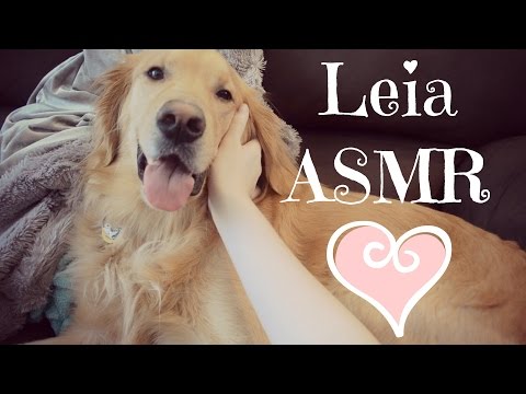 Doggy ASMR ~ Hand movements, brushing, close up whispering