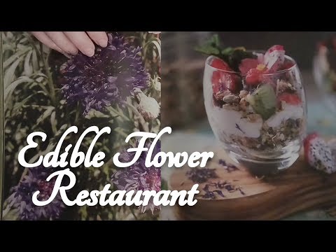 ASMR Flower Restaurant Role Play (Waitress, Menu Reading)