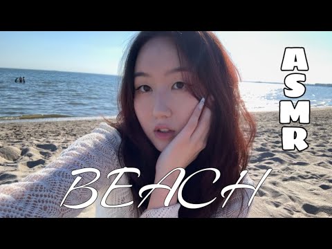 Fufu Flutters ASMR at the BEACH! 🌊🐚 lofi tapping, scratching & waves