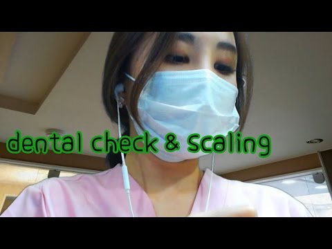 korean한국어asmr/치과 롤플레이/dental check up & scaling/진동주의/binaural/soft speaking