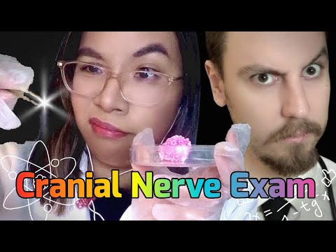 ASMR CRANIAL NERVE EXAM BUT YOU'RE TINY! (Collab w/ Triple Distilled Tingles ASMR ) 🧠😷 [Roleplay]