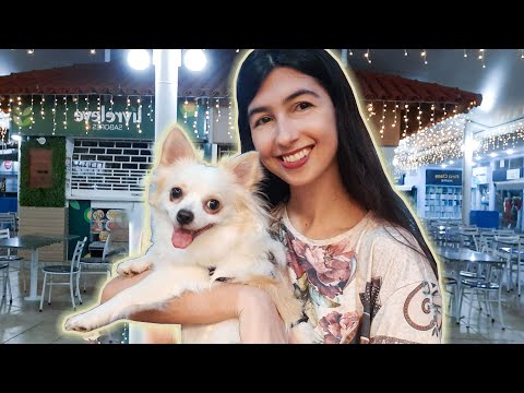 ASMR Vlog - Um dia na minha vida (e na do meu cachorro) 🐶